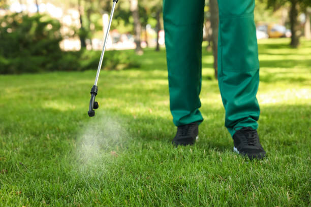 Best Cockroach Control Services  in Alcoa, TN