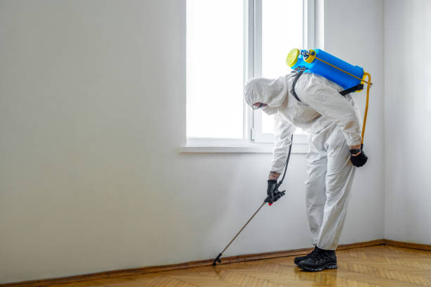 Best Pest Prevention Services  in Alcoa, TN