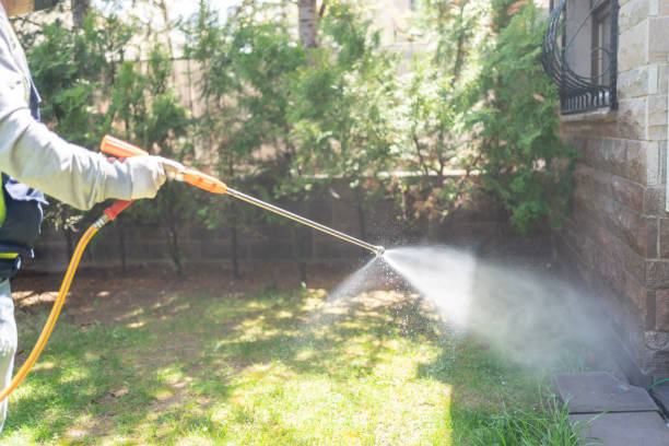 Best Termite Control Services  in Alcoa, TN